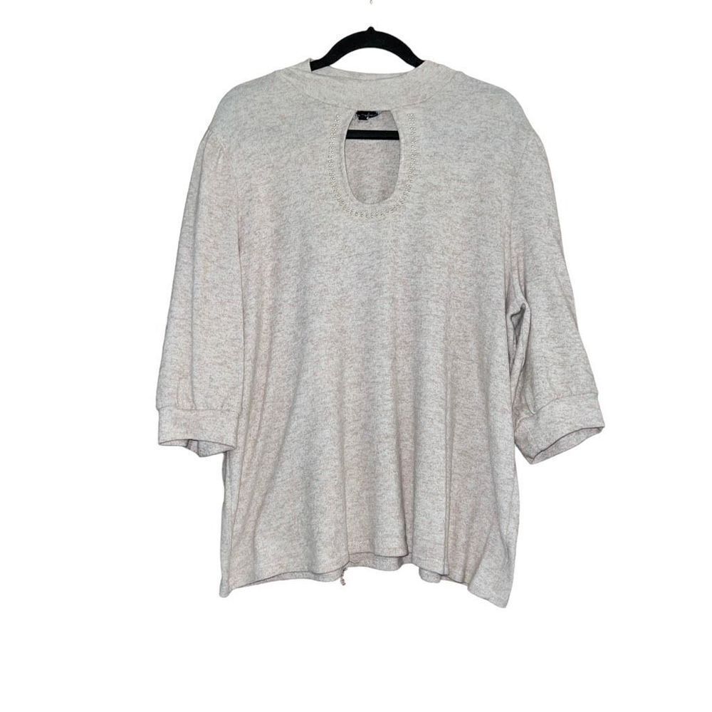 ALISON ANDREWS Tan Sweater Size 3X
